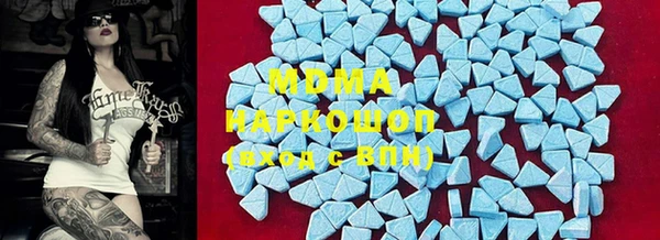 шишки Долгопрудный